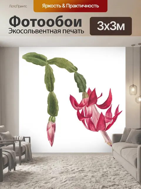 Фотообои Цветущий кактус винтажное искусство