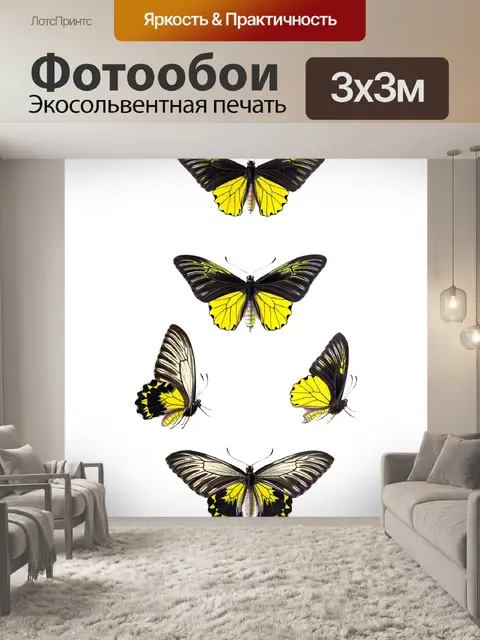 Фотообои Винтажный арт-набор бабочки