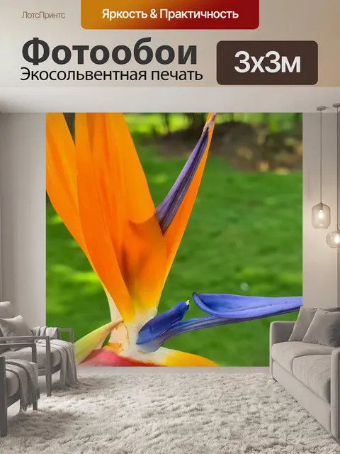 Фотообои Деталь цветка райской птицы