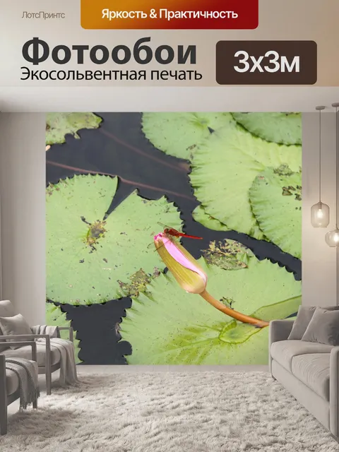 Фотообои Красная стрекоза на бутон лотоса