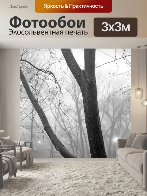 Фотообои Деревья в тумане