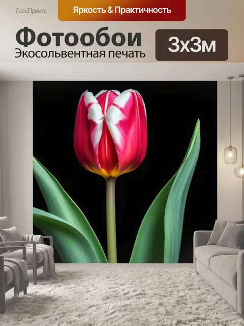 Фотообои тюльпан грация с вечерней симфонией
