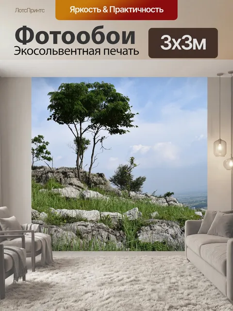 Фотообои Деревья
