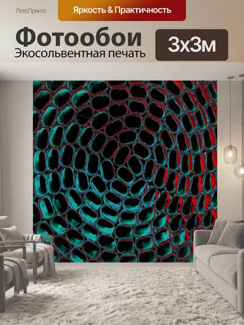 Фотообои Цифровая бумага 89