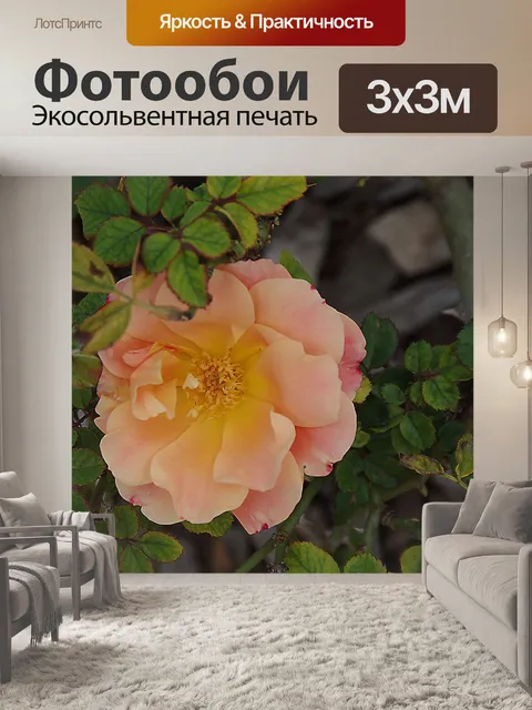 Фотообои Маленькая оранжевая шиповник
