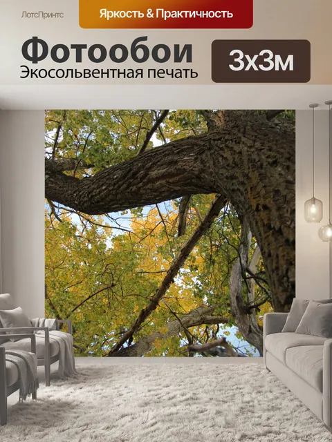 Фотообои Альберта черный тополь