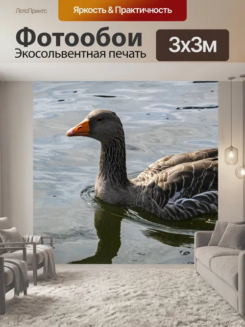 Фотообои Канадский гусь