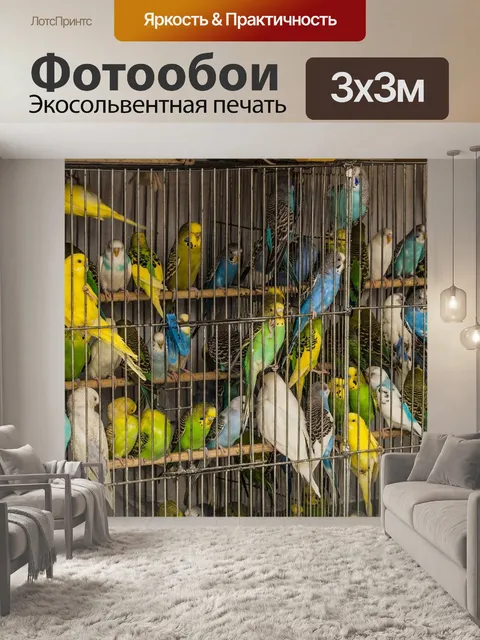 Фотообои Клетка
