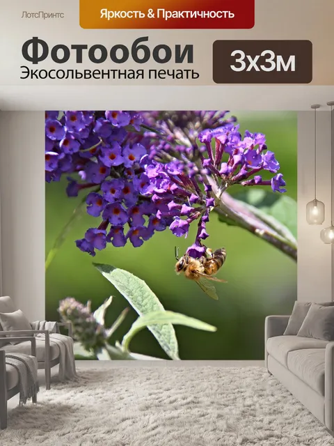Фотообои Куст бабочки
