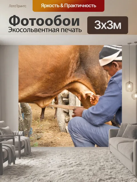 Фотообои Корова