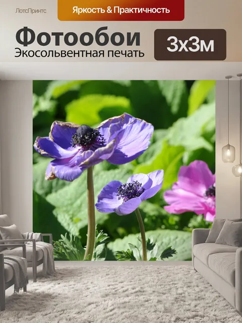 Фотообои Крупным планом фиолетовый и розовый Цвет