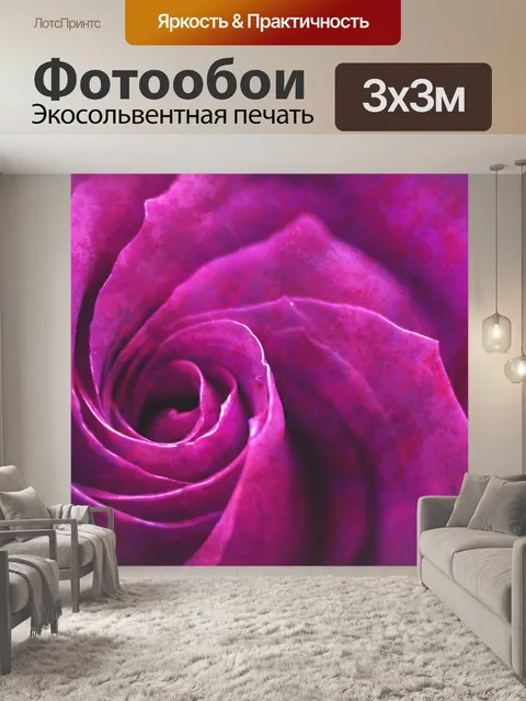 Фотообои Розовый цветок розы
