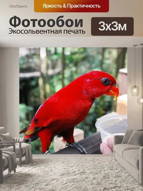 Фотообои Парк птиц джуронг