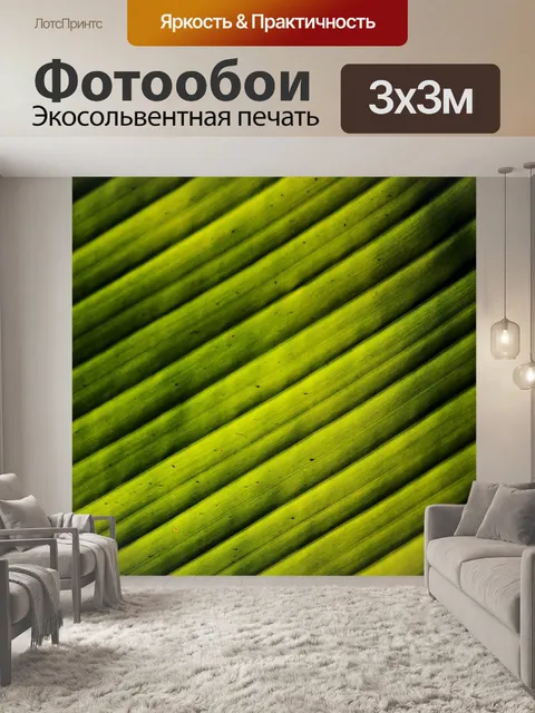 Фотообои Лист