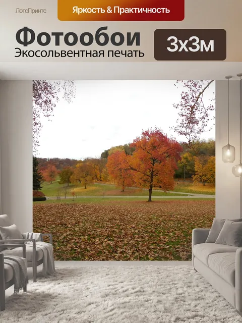 Фотообои Цвета осени фона