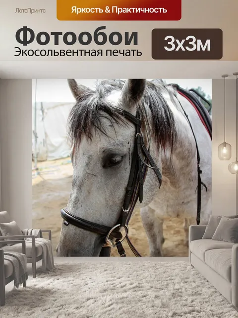 Фотообои Белая лошадь
