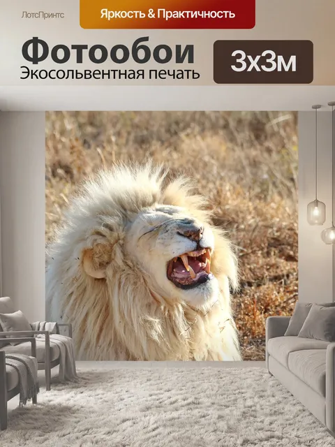 Фотообои Белый лев