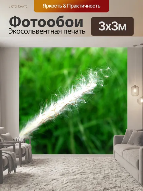 Фотообои Сухой дикий цветок