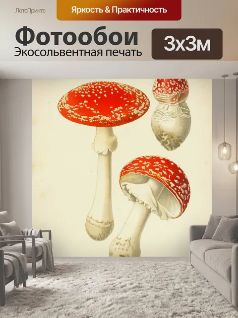 Фотообои Винтажная иллюстрация грибов чемпиона