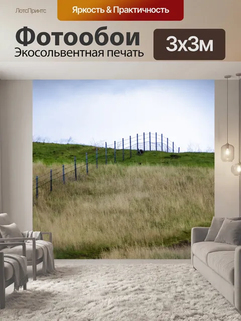Фотообои Травянистое поле