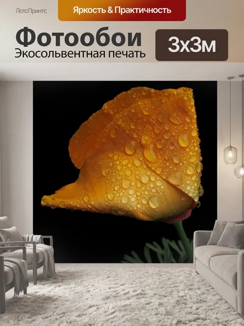 Фотообои Калифорнийский мак