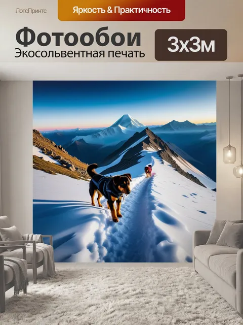 Фотообои восхождение на эльбрус с собакой