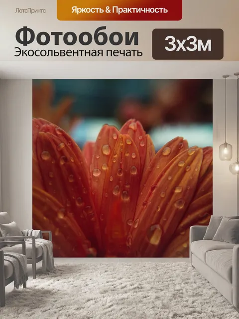 Фотообои Дождь