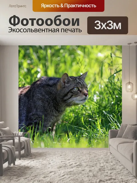 Фотообои Cat Охота в траве