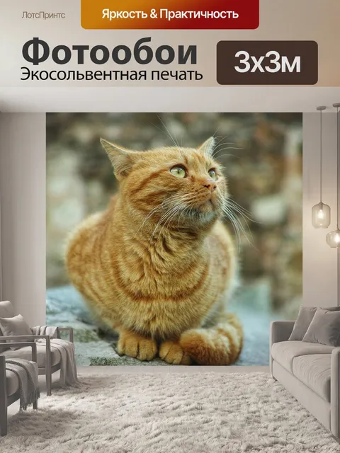 Фотообои Кошка
