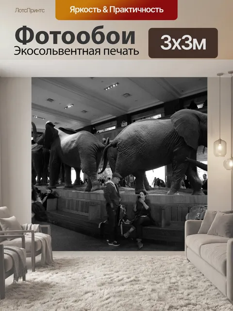 Фотообои Американский музей естественной истории