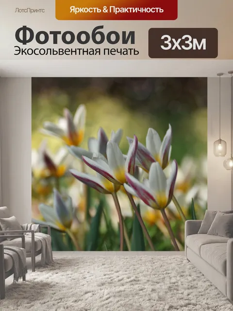 Фотообои Тюльпаны
