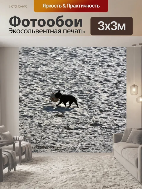 Фотообои Маленькая Собака Большой Шар