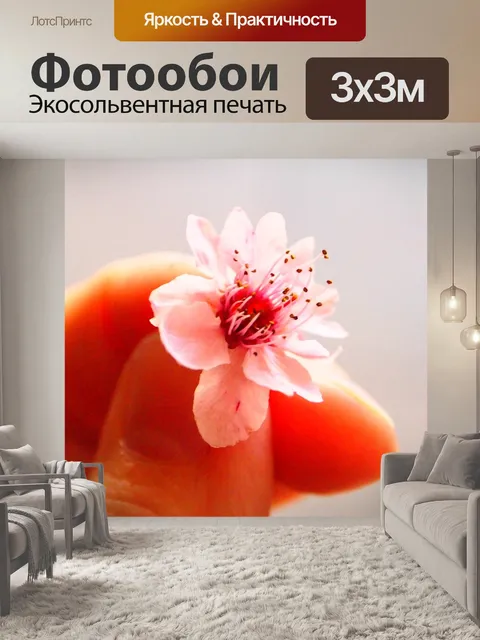 Фотообои Розовый