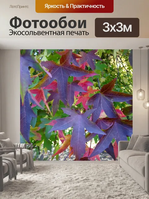 Фотообои Осеннее осенние листья на дереве