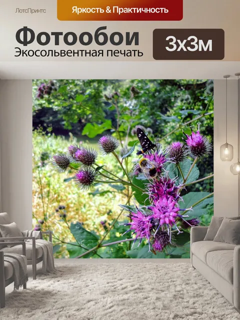 Фотообои Distel