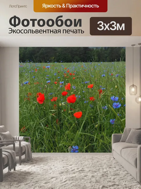 Фотообои Маковое поле