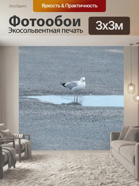 Фотообои Птица стоит в луже