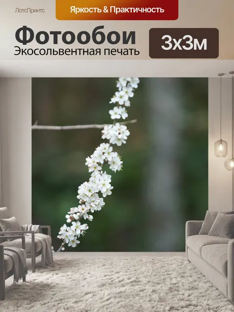 Фотообои Цветущая ветка