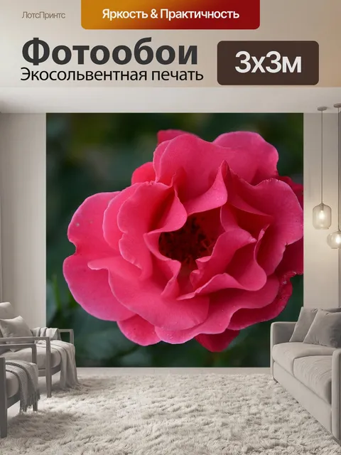 Фотообои Розы