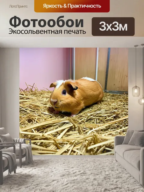 Фотообои в зоомагазине, оформленном в минималистичном стиле, одна морская свинка спокойно лежит на свежем сене в…