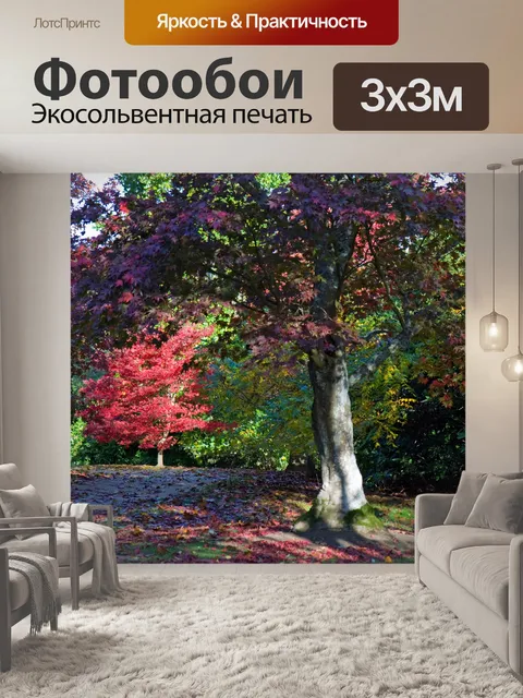 Фотообои Осенние цветы