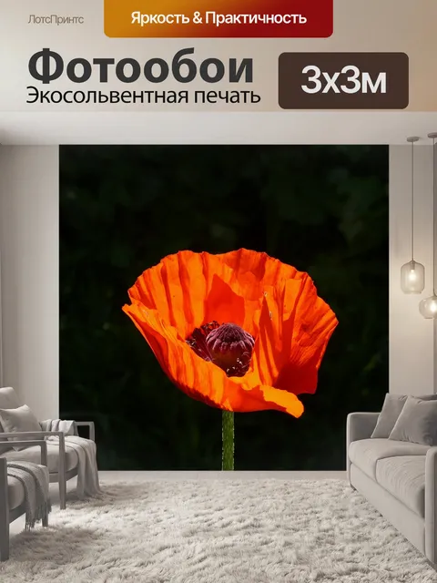 Фотообои Мак