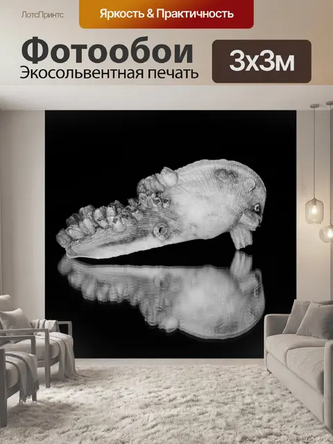 Фотообои отражение, зеркало, предмет