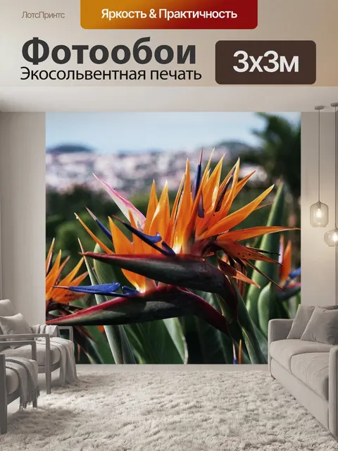 Фотообои Мадейра