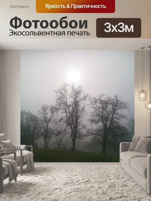 Фотообои Туман