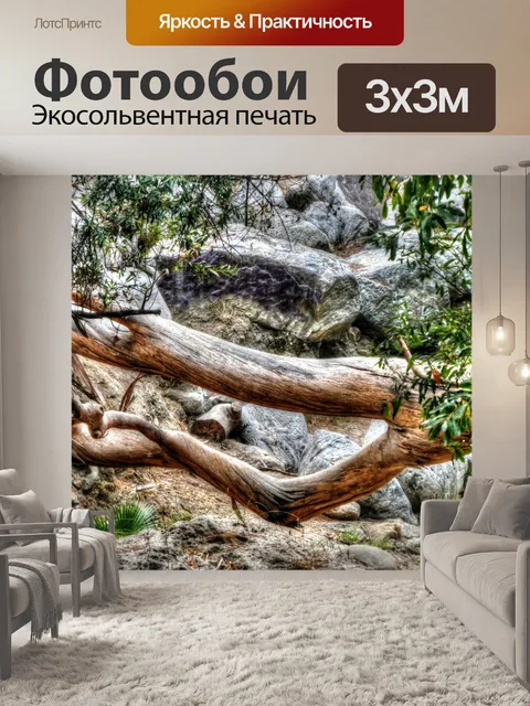 Фотообои Падшее дерево