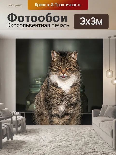 Фотообои Домашнее животное