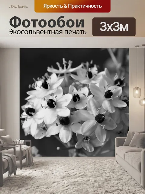 Фотообои маленькие цветы в черно-белом