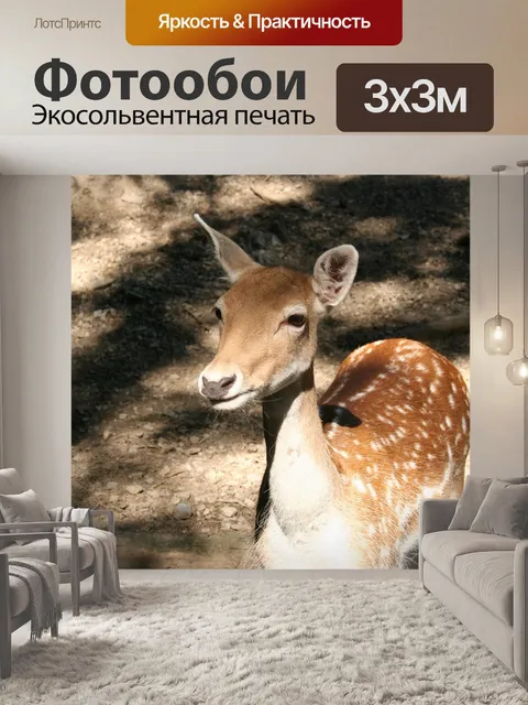 Фотообои Замша