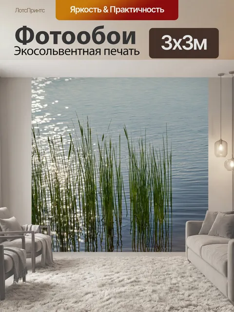 Фотообои камыш на берегу озера